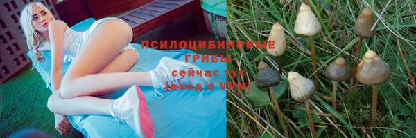 дурь Аркадак