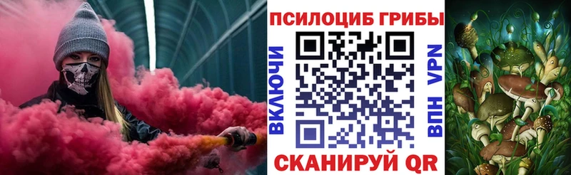 Купить закладки  Десногорск  Галлюциногенные грибы мухоморы 